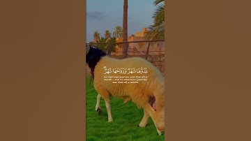 #القران_الكريم #اكسبلور #دويتو #المصحف #تيك_توك #تلاوه_خاشعه #duet #خيل #ترند #راحة_نفسية
