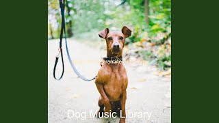 Charming Music for Quarantine with Dogs
