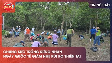 CHUNG SỨC TRỒNG RỪNG NHÂN NGÀY QUỐC TẾ GIẢM NHẸ RỦI RO THIÊN TAI