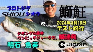 明石ジギング JIGRIPプロトジグ「鰤𩵭」で鰤を狙ってみた。2024年8月18