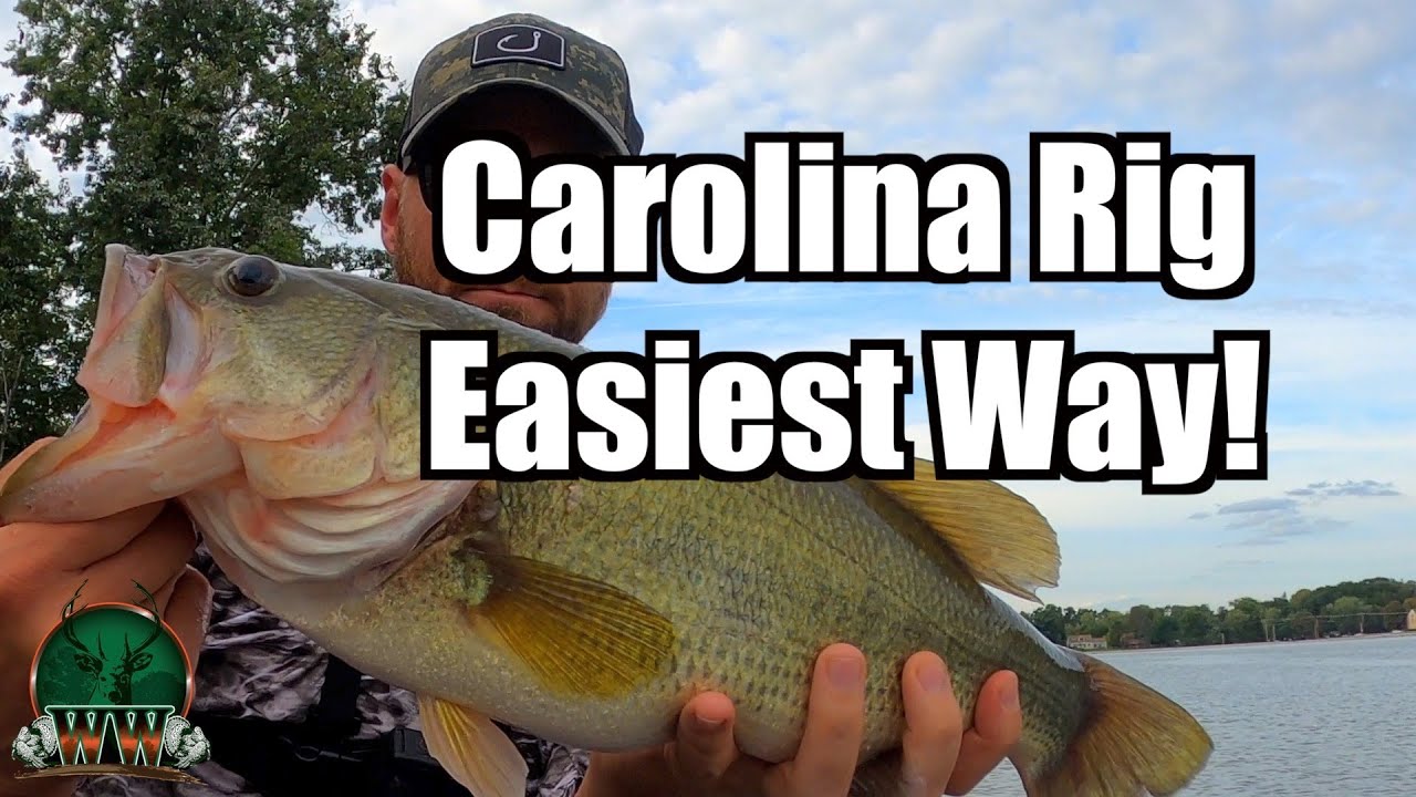 Complete NO NONSENSE Carolina Rig How to Guide (Bass Fishing in