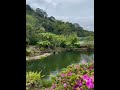 Maleny Botanic Gardens Maleny Botanic Gardens