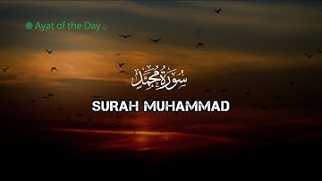 Surah Muhammad | 47 سورة  محمد | Arabic and English translation HD #quran