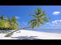 Best Of Pascal Junior Part 1 Reupload Best Of Pascal Junior Part 1 Reupload