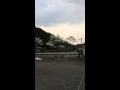(くちぶえ演奏) 野バラ シモンズ