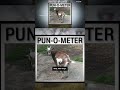 Goat Escapade Humor and Facts