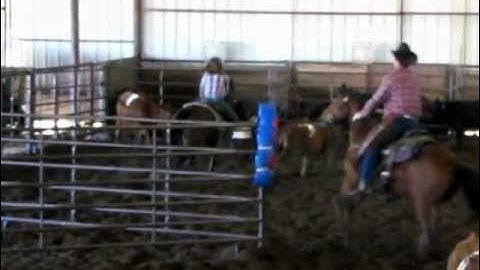 Big Enough 3/24/12 SWTPA #8Mixed - 54.81 on 10 head! - Valley View Ranch