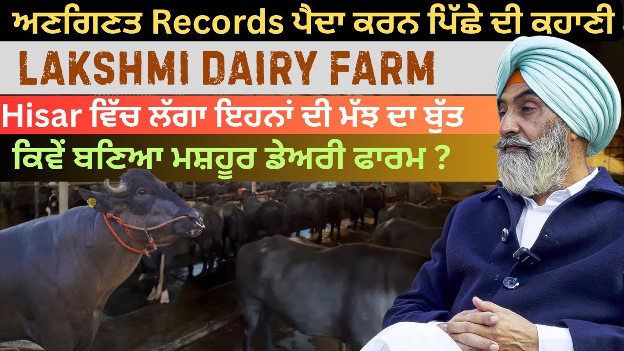 Lakshmi Dairy Farm | Successful Dairy Farm | Saanjh Dil Ton Dilan Di 