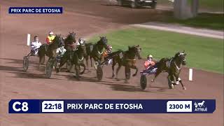 Vidéo de la course PMU PRIX PARC DE ETOSHA