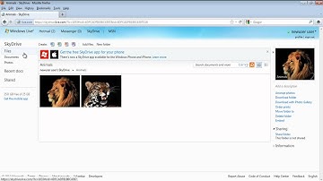 How to access free online storage with SkyDrive in Windows 7