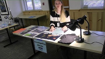 Investigating Albedo - UC Davis TERC Virtual Science Expo 2020