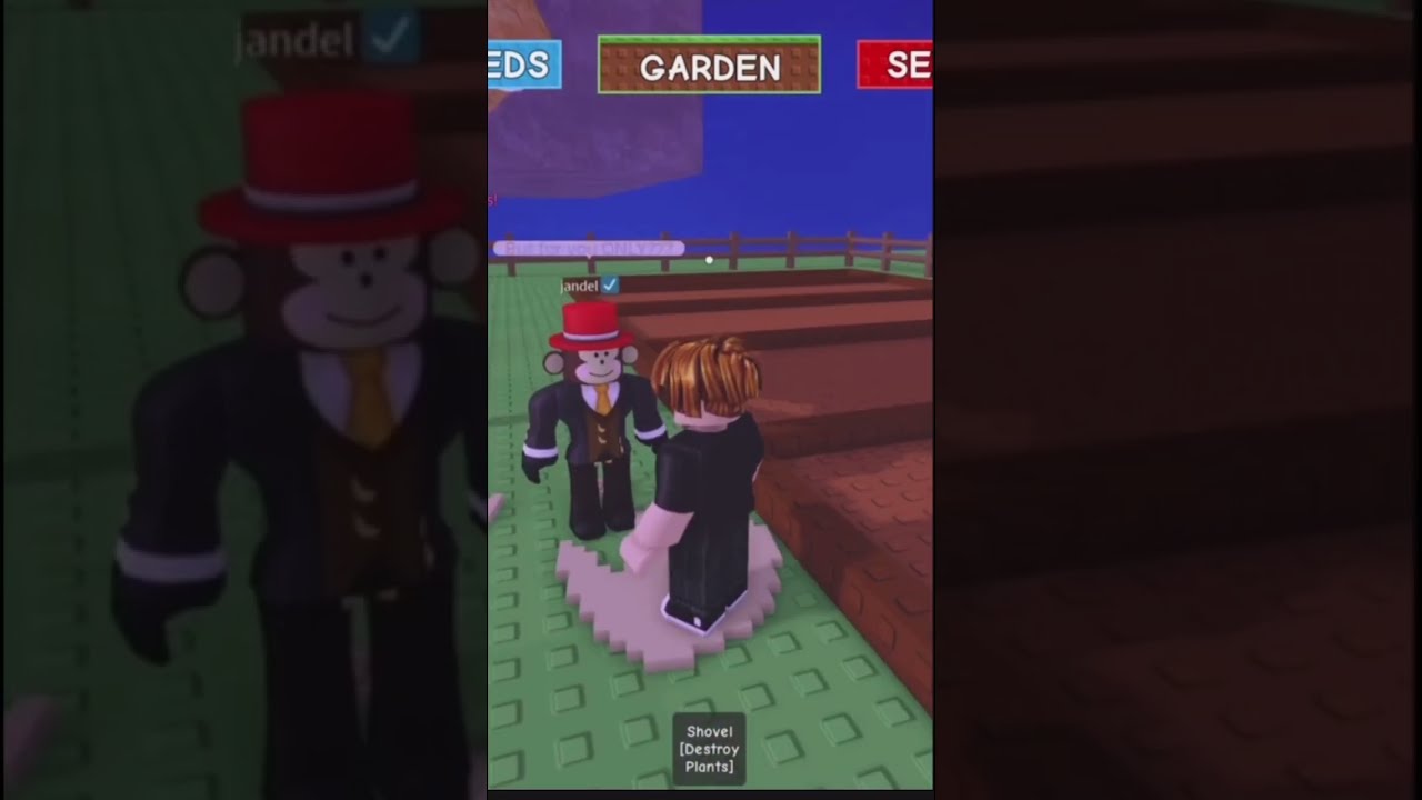 Jandel Gave Me A Mimic Octopus Roblox Growagarden