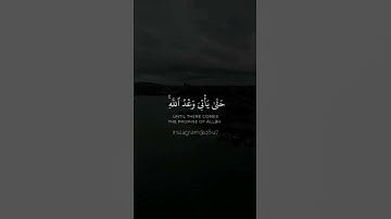 #قران_كريم #تلاوة_خاشعة #تلاوة_مميزة #تلاوة_مميزة #المنشاوي #المنشاوي_الباكي #تلاوات_نادرة