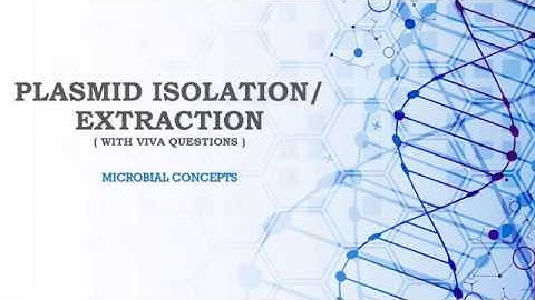 Plasmid Isolation/ Extraction (with viva ques) | PLASMID | MSc practical series | MSc microbiology
