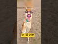 हम मर जायेंगे #funny #comedy #thetharpuns #shilpisaroja #jabardast