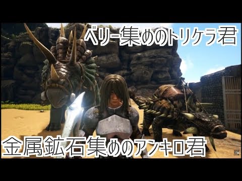 2 ベリー集めのトリケラ君と金属鉱石集めのアンキロ君 アーク Ark Survivalevolved セザキングのゲーム実況のほほんプレイ Youtube