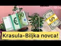 Krasula biljka novca! Nega +razmnožavanje+presadjivanje!