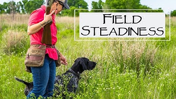 How To Get A Dog Steady To Wing, Shot and Fall - You Ask We Answer Episode 20: Part 4