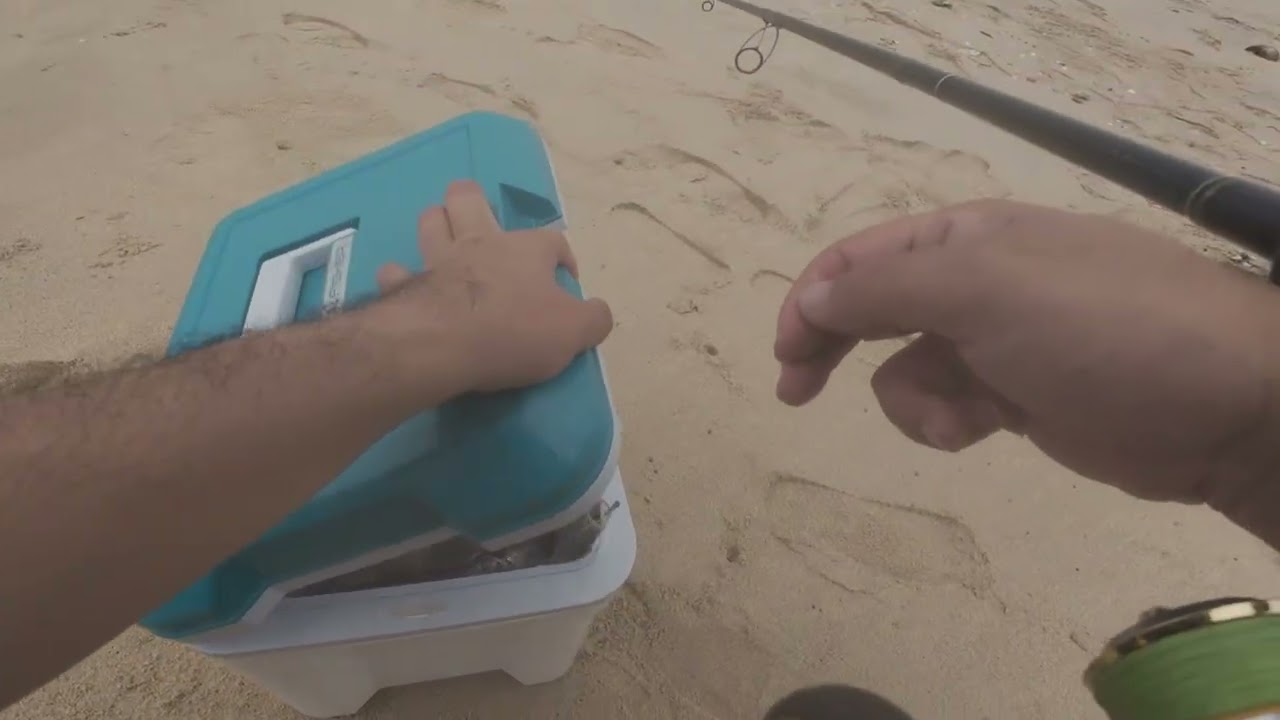 Câu cá bè lá tre đầu Xuân #queenfish 