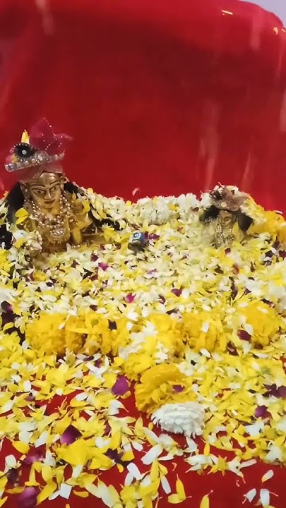 holi baka