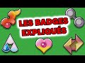 Les badges dhoenn et leurs significations