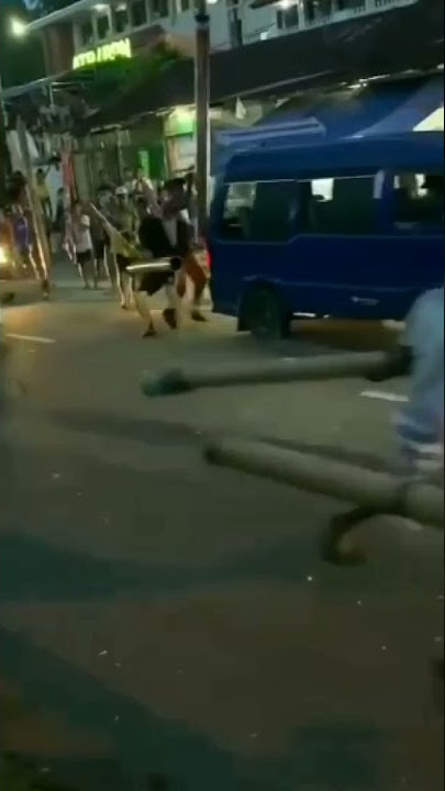 PERANG MERIAM JAYAPURA NI BOS
