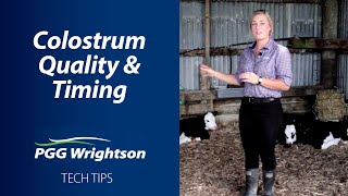 Colostrum Quantity and Timing  | PGG Wrightson Tech Tips