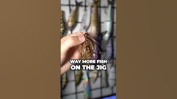 How to Catch MORE Bass on a Jig! #fishing