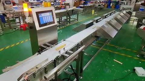 checkweigher machine with 10 grades sorting