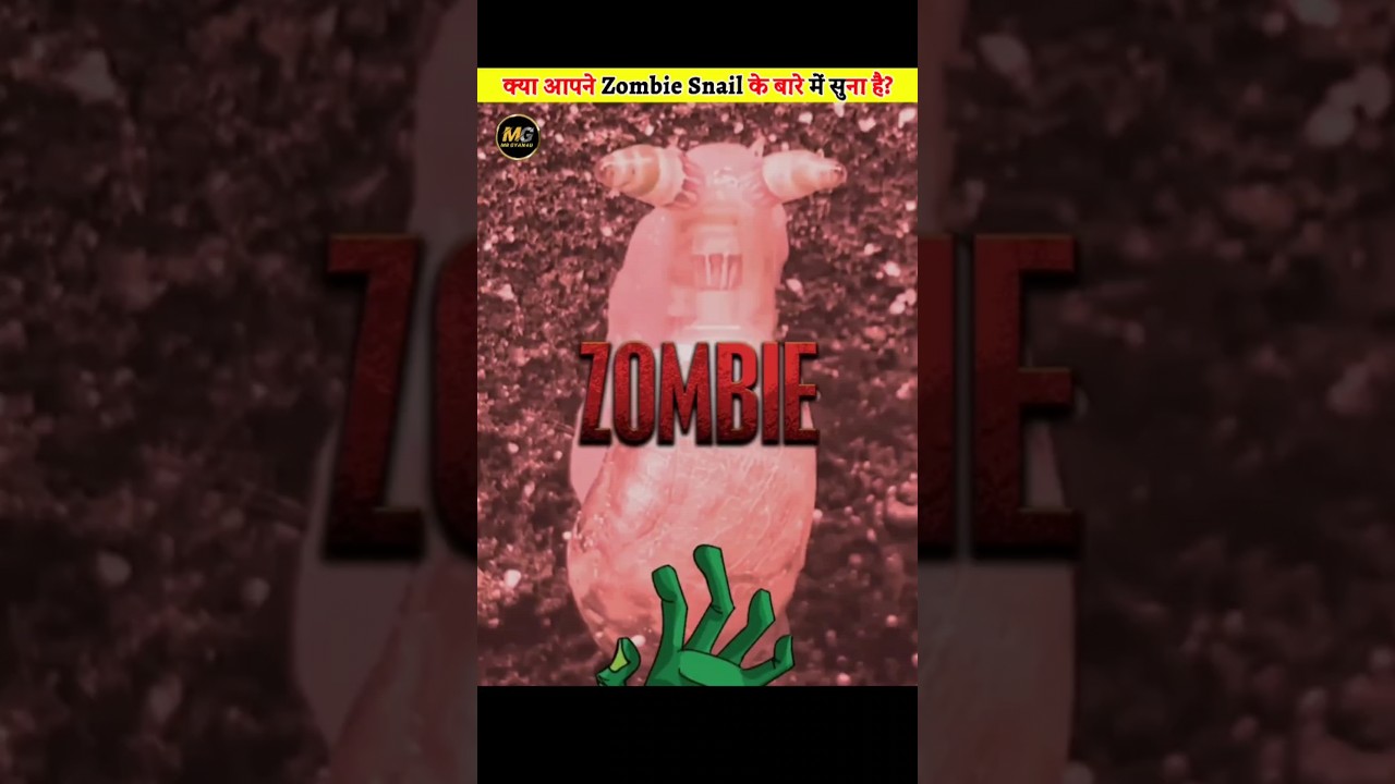 Mind Controller Snail