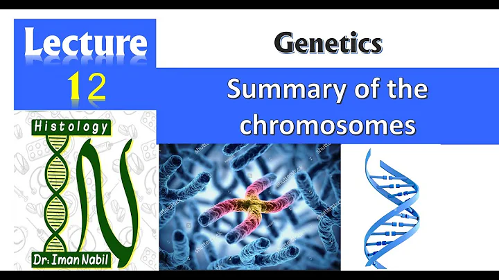 The human chromosome; structure and abnormalities