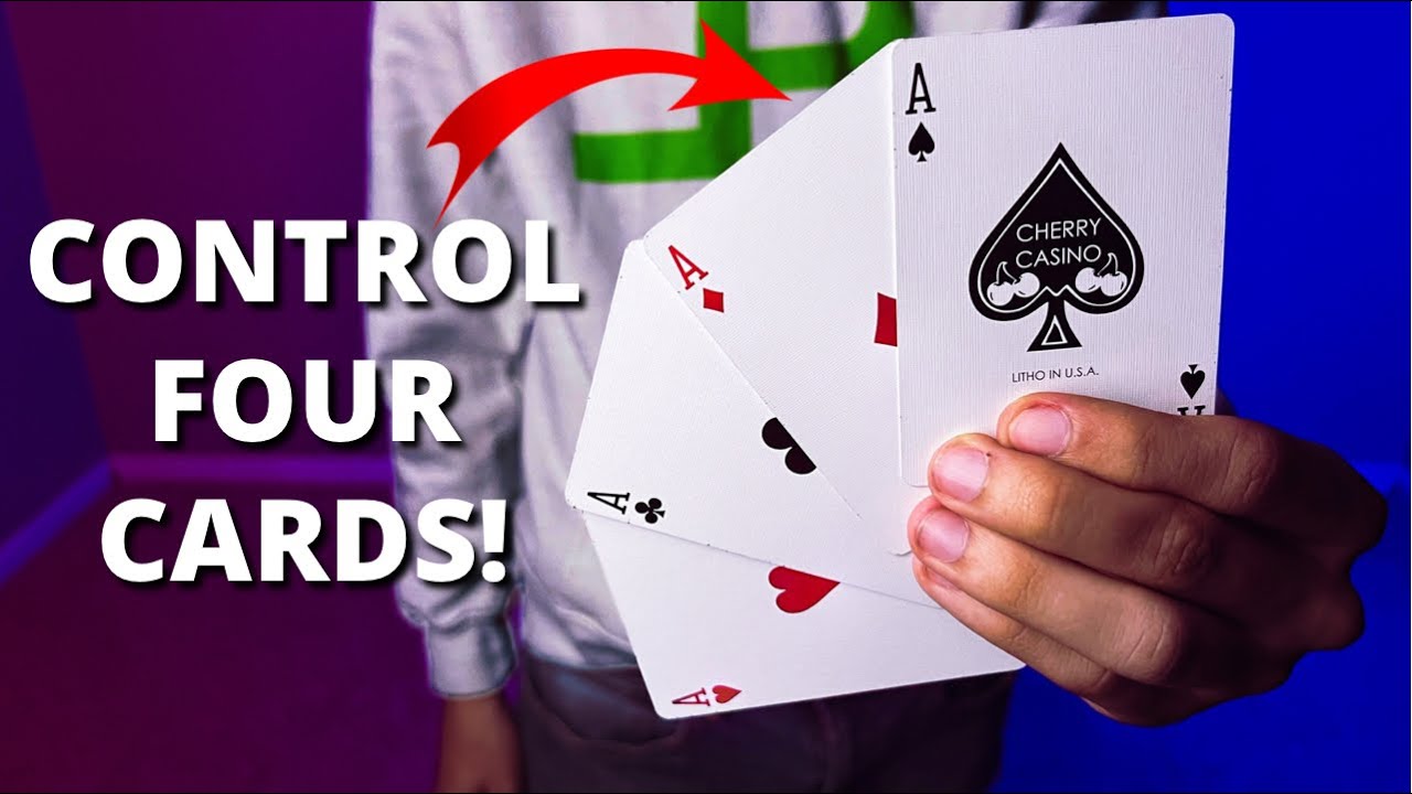 トランプ A TRIBUTE TO VERNON PLAYING CARDS SILVERARROWSplayingcards_17496