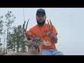 Two Fine Bucks Down!| And A High Speed Dog Chase| Live Action!!!