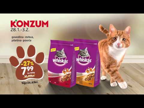 Video: Insulin - Popis Lijekova Za Kućne Ljubimce, Pse I Mačke