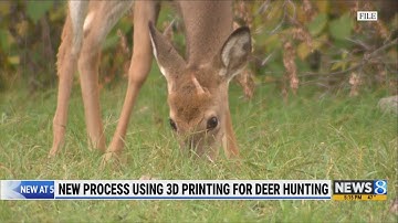 New process using 3D scanning for deer hunting
