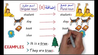 (12)شرح قاعدة المفرد والجمع في الإنجليزية كاملة |  Singular & Plural Nouns