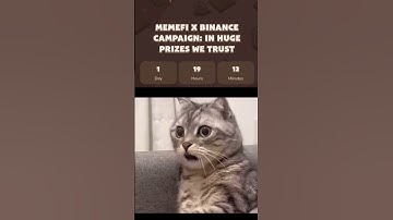 #shorts #crypto #cats #catsairdrop #memefi #blum #airdrop
