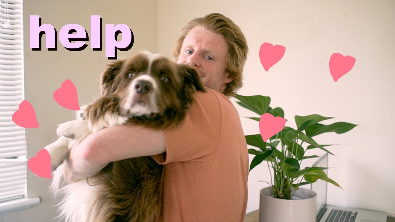 I taught my dog DEPRESSION