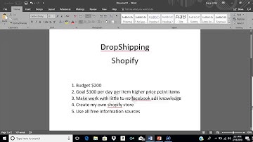 My 6 figure Shopify Startup as a Complete Beginner