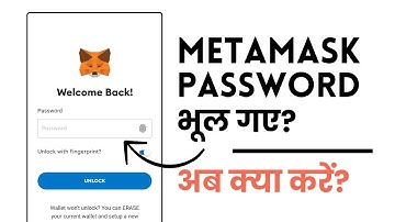 MetaMask Ka Password Bhul Jaye To Kya Karein? How to Change MetaMask Password? Hindi