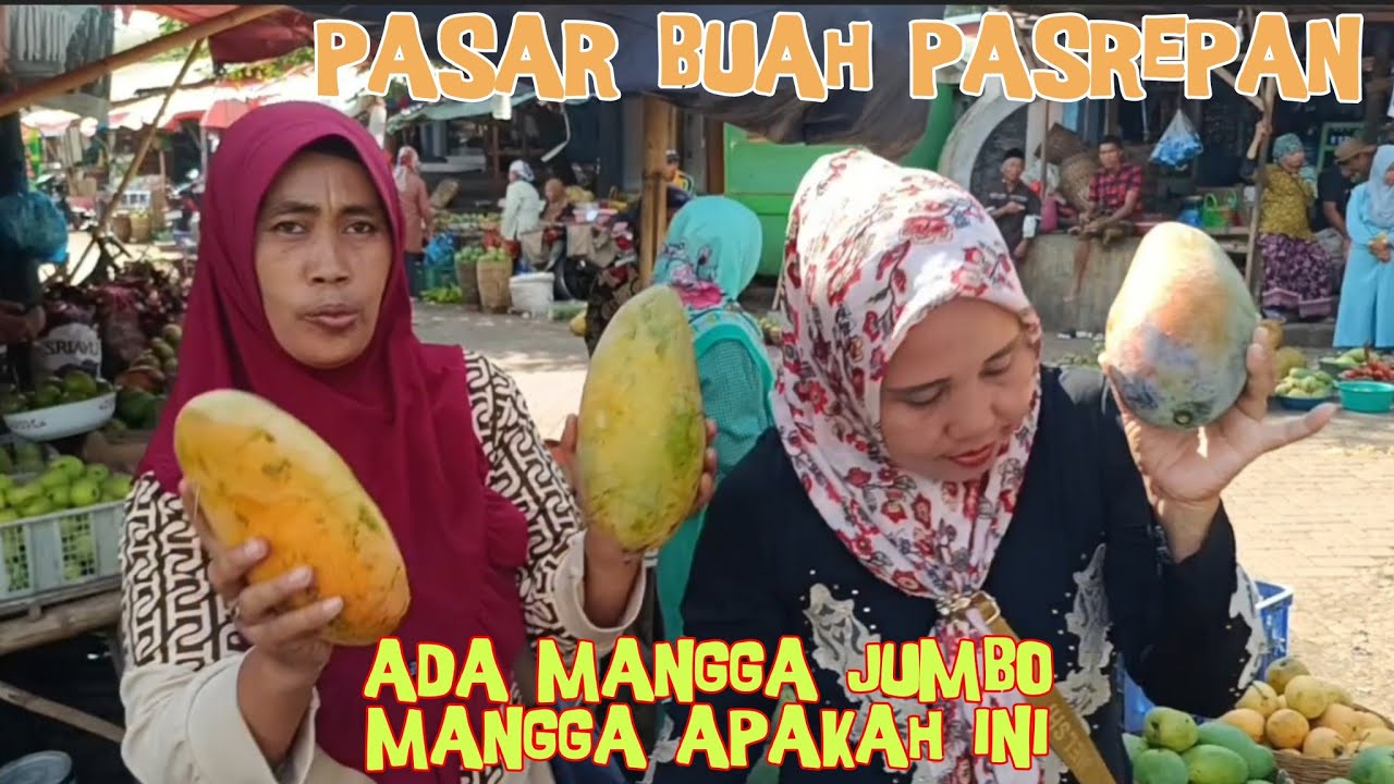 MENEMUKAN MANGGA SUPER JUMBO DI PASAR BUAH PASREPAN MANGGA APAKAH INI