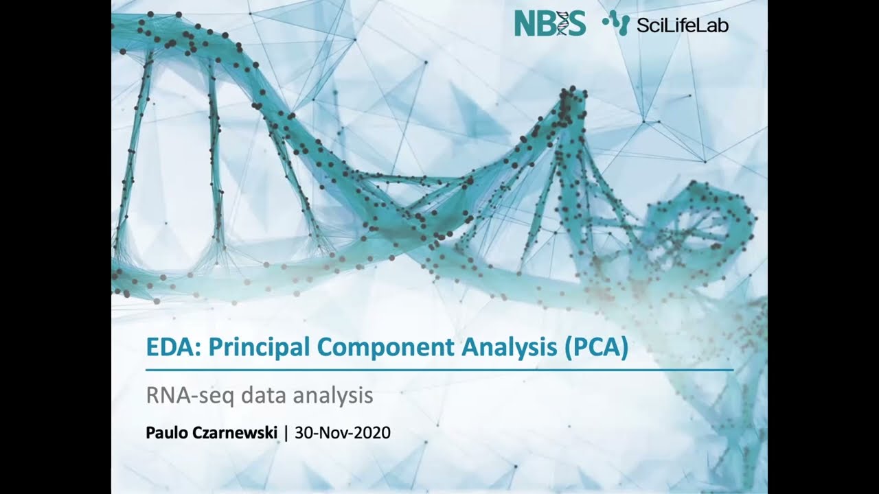 07 Principal Component Analysis (PCA)