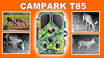 🦌Review: Campark T85 Trail Cam | Real Photos/Video + In-Depth Testing