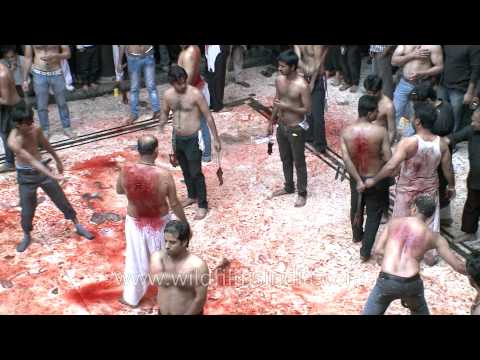 Bleeding Shia men go on bashing themselves - Muharram