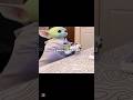 انا باختصار اكسبلور Funny Fun Viral Shorts Trending Memes Popmusic انا باختصار اكسبلور Funny Fun Viral Shorts Trending Memes Popmusic