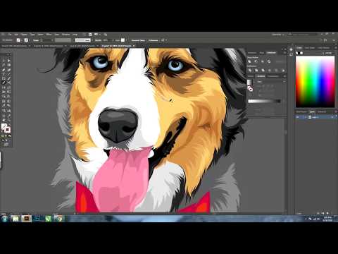 pets-cartoon-on-adobe-illustrator-cc-(-timelapse-)