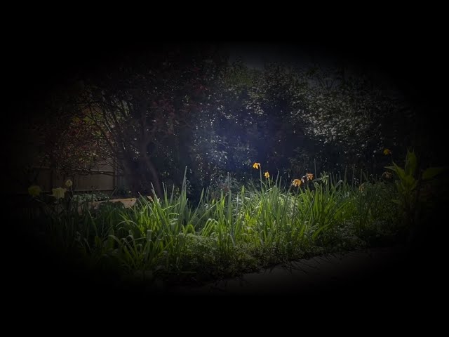 thumbnail img16x9
