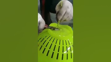 fruit small basket making Injection molding machine with mould second hand use automatic running