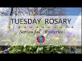 Tuesday Rosary • Sorrowful Mysteries of the Rosary 💜 April 30, 2024 VIRTUAL ROSARY - MEDITATION