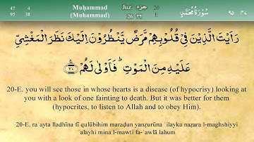 047 سوره محمد از مشاری العفاسی (تلاوت)